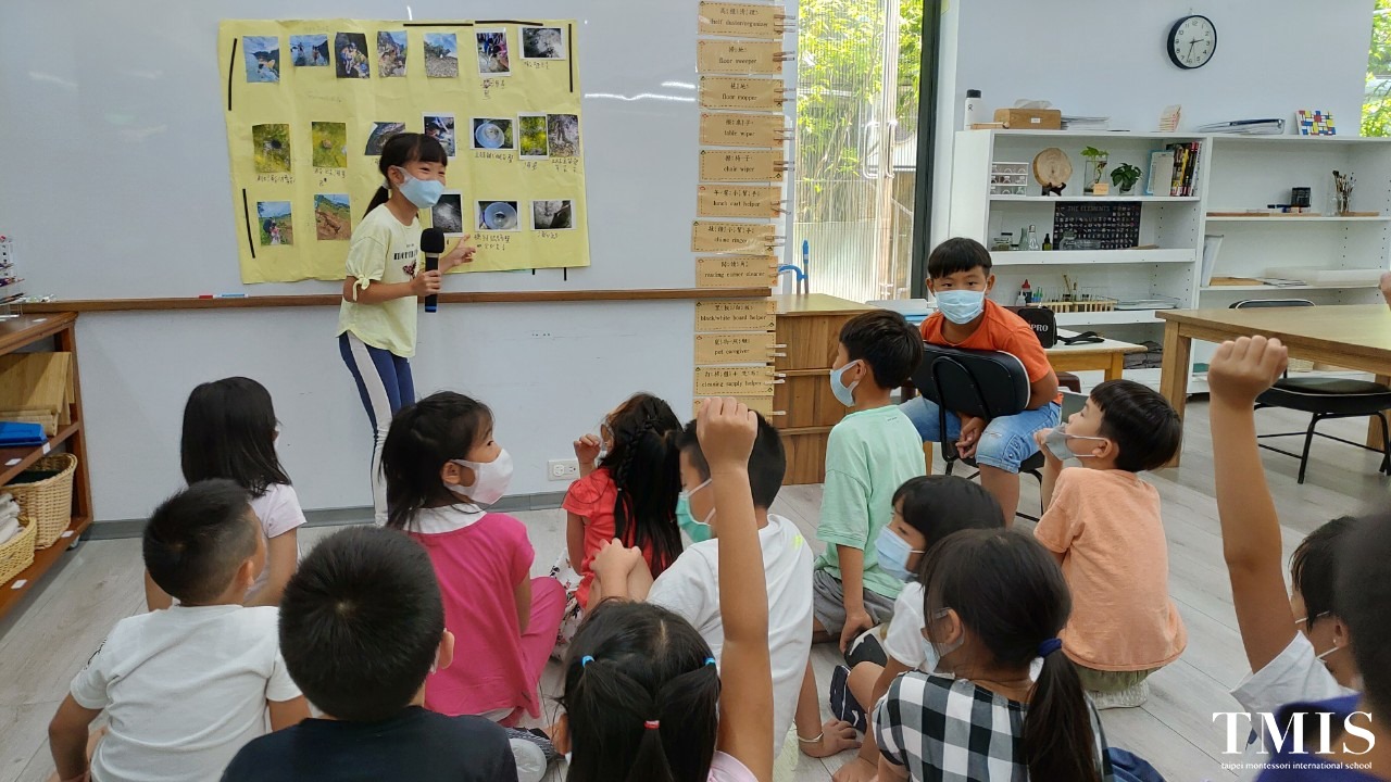 Observation Project : Taiwan